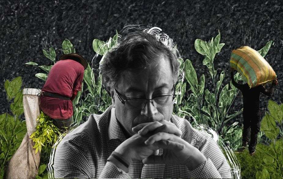 Las organizaciones sociales aseguran que el Gobierno de Gustavo Petro no atendió oportunamente la crisis cocalera.