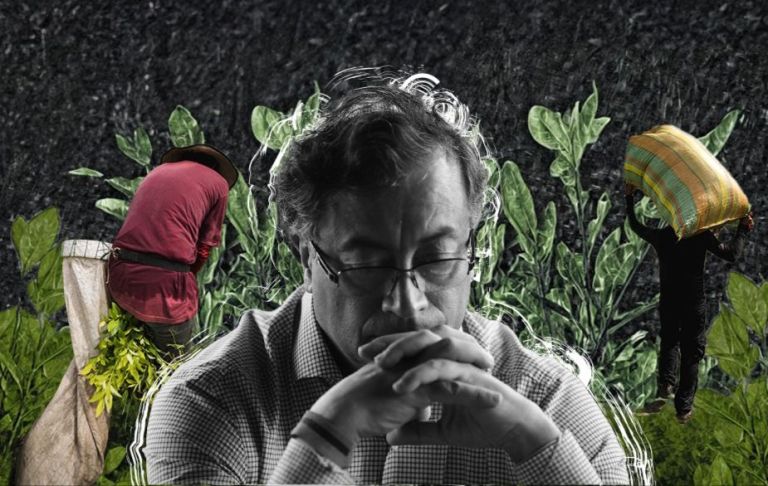 “Los narcos están volviendo”: Así se está reactivando economía de la coca tras crisis