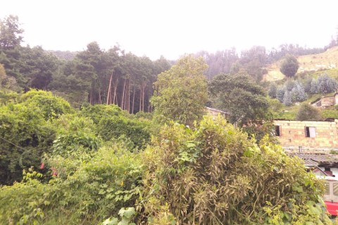Dueños de casas en los cerros orientales de Bogotá deberán pagar tasa compensatoria
