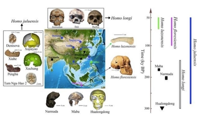 Investigadores descubren indicios de una posible antigua especie humana