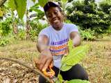 Mujeres lideran la transformación cacaotera en Tumaco
