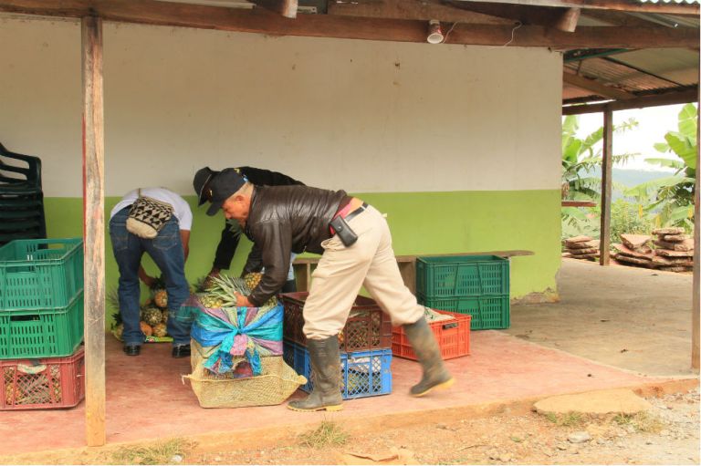 La apuesta porque el campesino sea empresario de su tierra