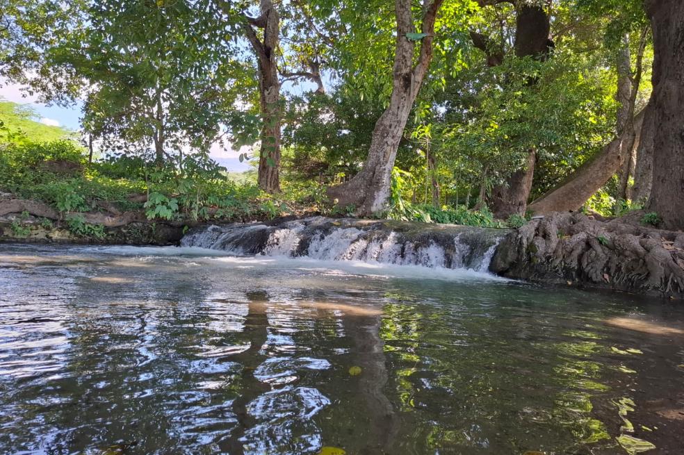 Esta es de una de las fuentes de agua que hay en la Reserva Forestal Protectora Manantial de Cañaverales.