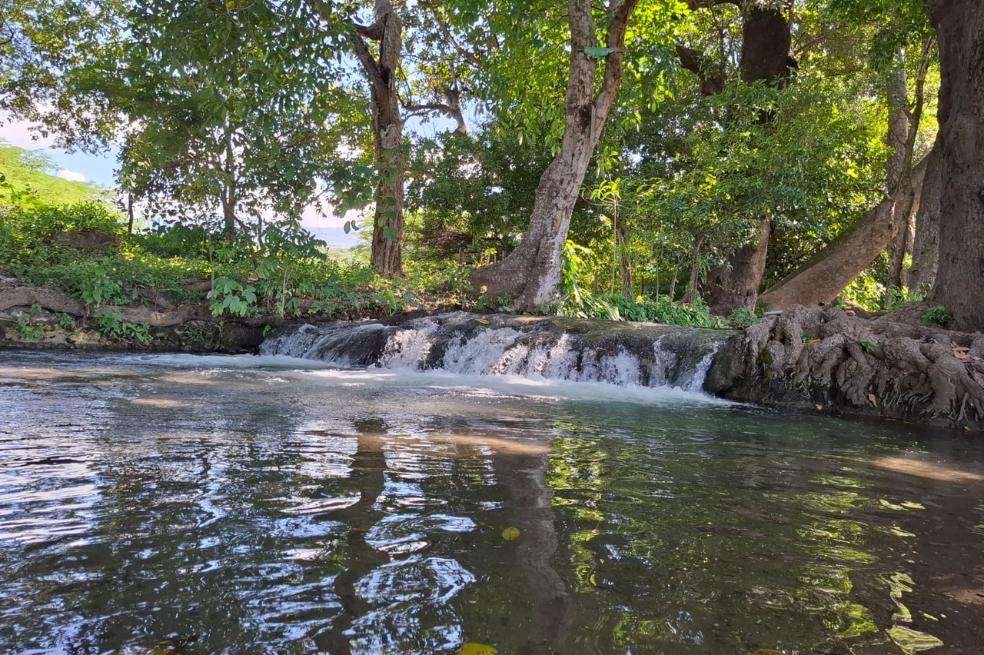 Esta es de una de las fuentes de agua que hay en la Reserva Forestal Protectora Manantial de Cañaverales.