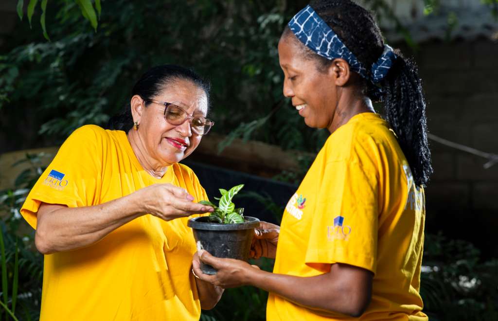 La Fundación Puerto de Cartagena cumple veinte años apostándole al desarrollo social.