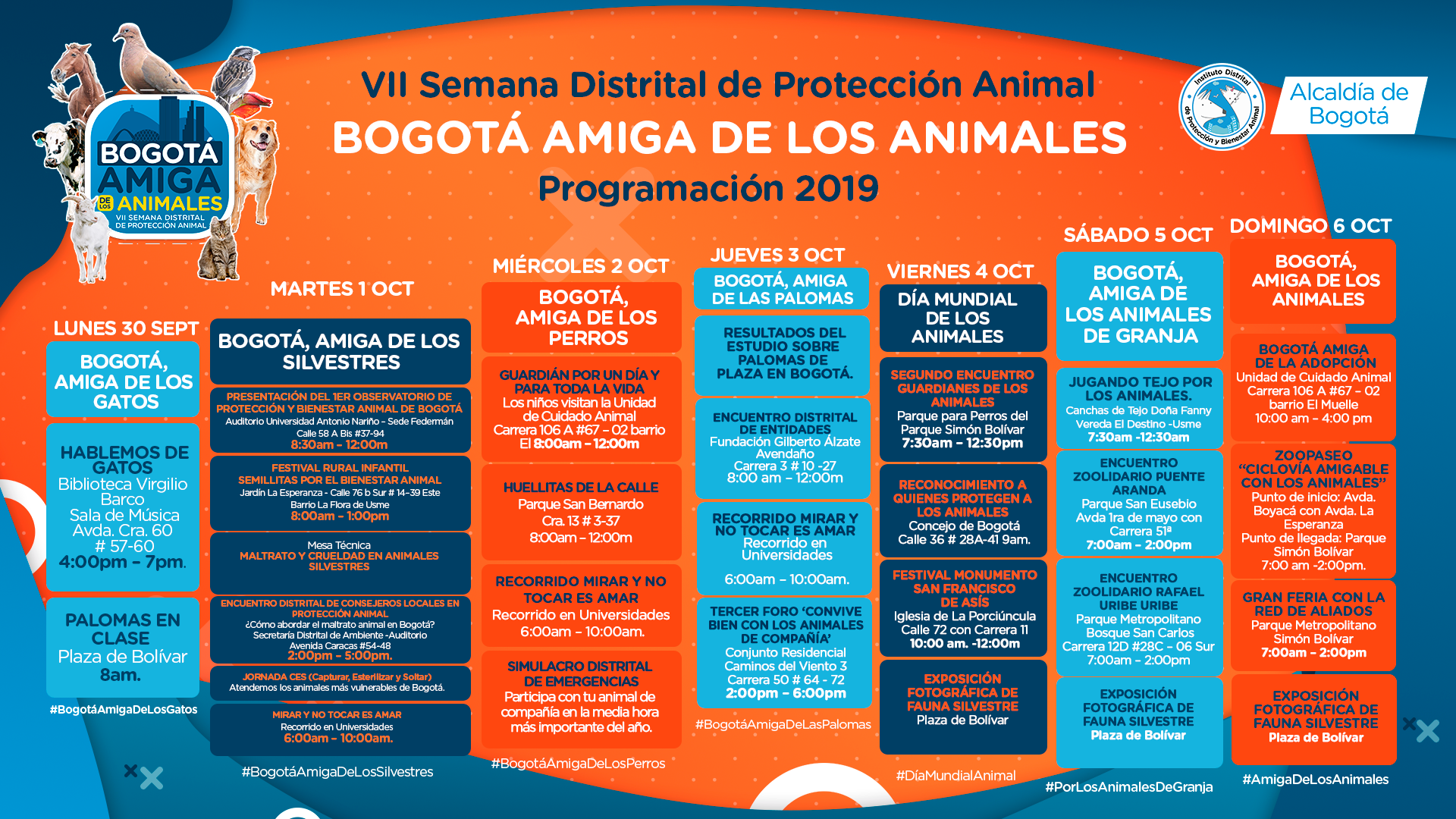 Fuente: Instituto Distrital de Protección y Bienestar Animal.