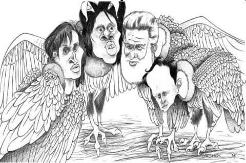 Nueva especie de ave migratoria