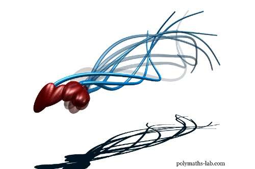 Los expertos afirman que la cola del esperma "se mueve como un sacacorchos"