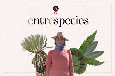 La abogada de los páramos que lucha por la justicia climática | Entrespecies