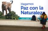 COP16: situar el medio ambiente en el centro de la construcción de paz