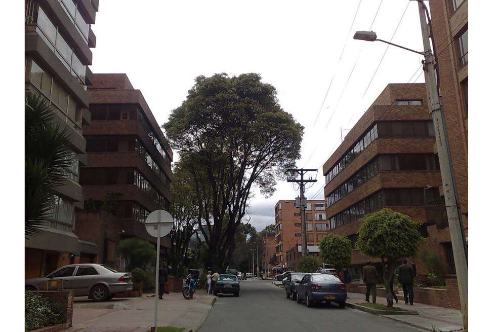 Los diseños de las viviendas, según el gerente de Metrovivienda, deben ajustarse a la arquitectura de la zona. / Archivo