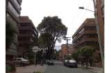 Debate por casas gratis en barrios estrato 6