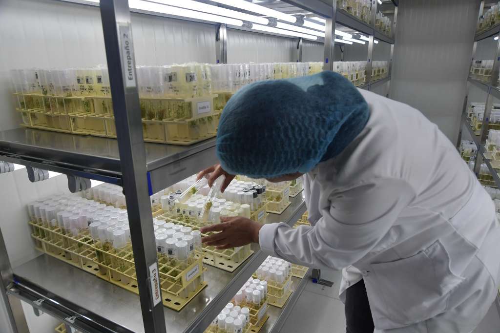 Entidad de ciencia, tecnología e innovación ubicada en el municipio de Mosquera, que contribuye al cambio técnico para mejorar la productividad y competitividad de la agricultura en Colombia.