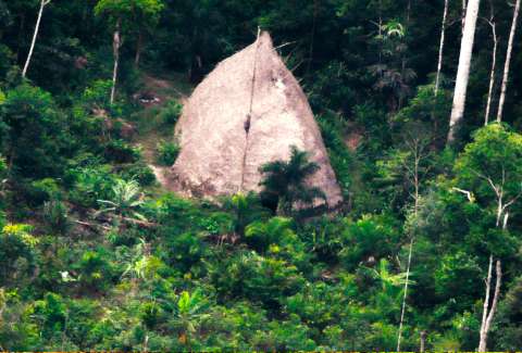 Dron revela la existencia de nueva tribu aislada en la Amazonía brasileña