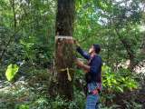 Aliviane el pago del predial de su finca con la gestión de la biodiversidad