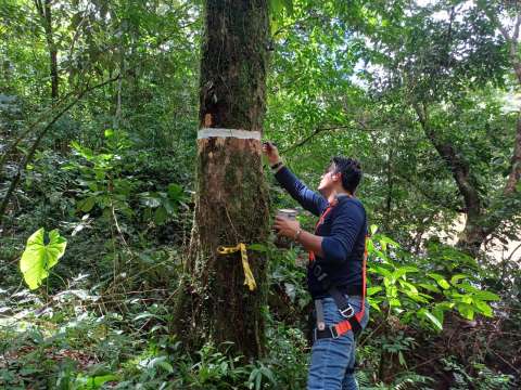 Aliviane el pago del predial de su finca con la gestión de la biodiversidad