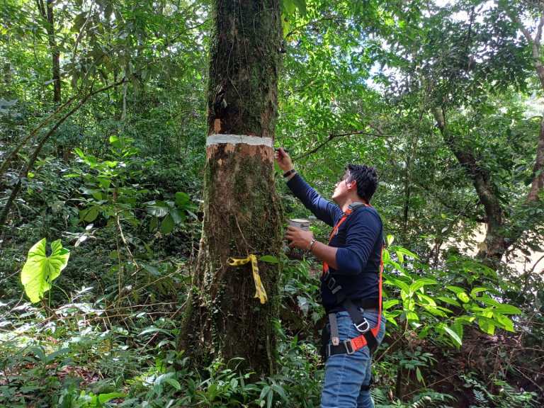 Aliviane el pago del predial de su finca con la gestión de la biodiversidad