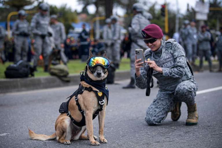 El evento contó con la participación de las Fuerzas Militares, la Policía Nacional y diferentes cuerpos especiales