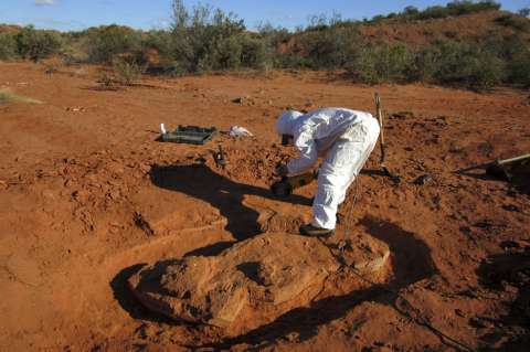 Descubren en Argentina dinosaurio gigante de más de 200 millones de años
