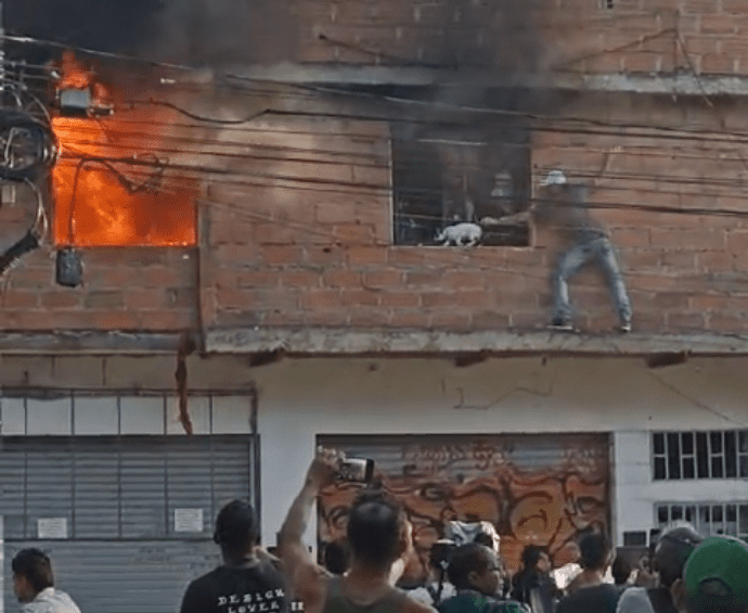 Video: hombre arriesgó su vida para salvar a diez gatos de un incendio en Medellín