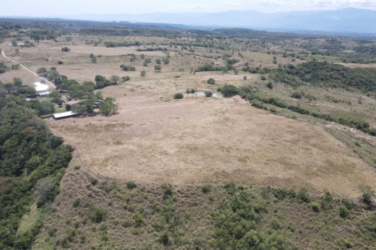 Los motivos por los que se frenó la construcción de un parque solar en Tolima