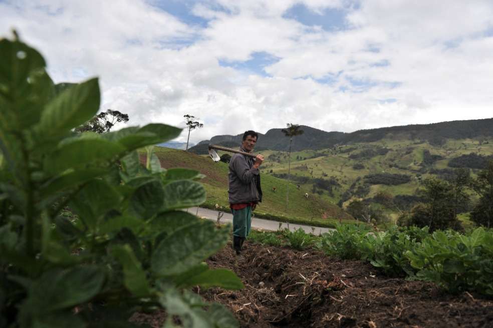 En las 16 regiones PDET habitan 2.5 millones de víctimas del conflicto. / Archivo El Espectador.