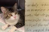 Esta es la emotiva carta con la que un niño entregó a su gato a un refugio