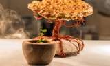 ‘Árbol de la vida’, la exitosa receta del restaurante El Cielo, ganador de una estrella Michelin