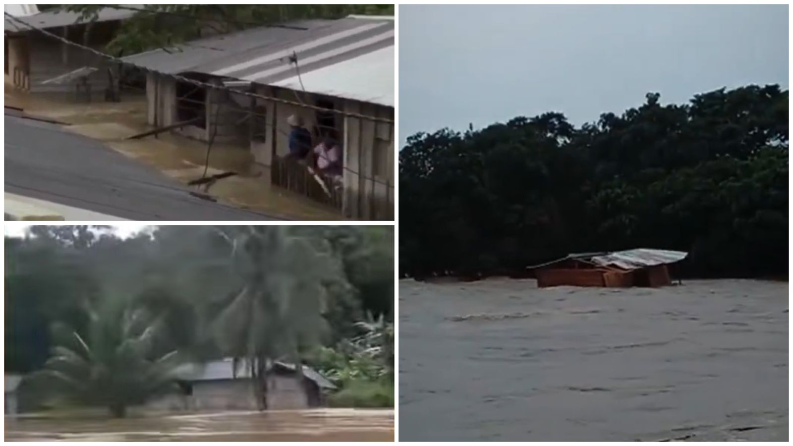 Crecientes de los ríos San Francisco, Alto Guapi, Guaguí y Navi afectaron a los municipios de Guapi y Timbiquí.