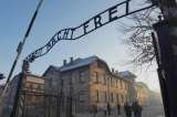 Diez novelas sobre Auschwitz en el 75 aniversario de su liberación