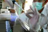 Advierten que recortes presupuestarios en EE.UU. afectan investigación científica