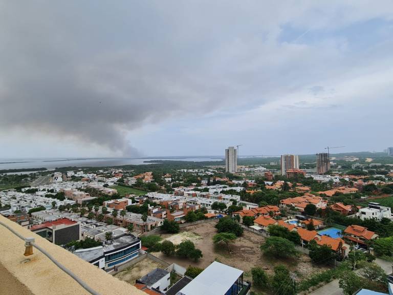 Reportan incendio en el área protegida Vía Parque Isla de Salamanca