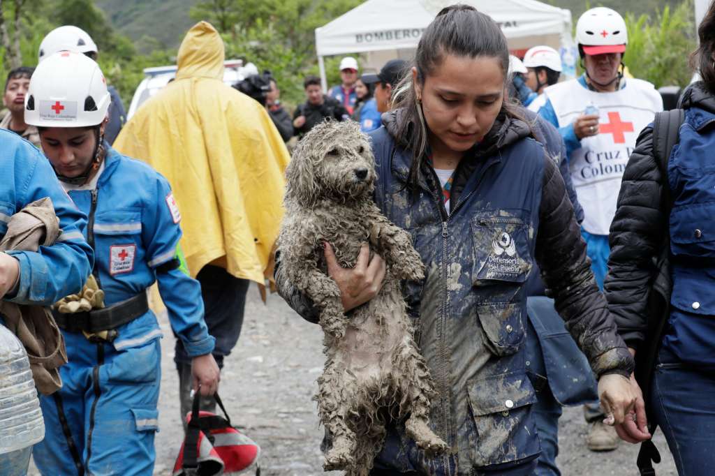 -FOTODELDÍA- AME3972. QUETAME (COLOMBIA), 18/07/2023.- Una rescatista carga un perro afectado por una avalancha hoy, en Quetame (Colombia). La cifra de muertos por una avalancha de barro y agua ocurrida en la localidad de Quetame, en el departamento colombiano de Cundinamarca (centro), ascendió a 14, además de 6 heridos y varios desaparecidos, informó este martes el gobernador de esa región, Nicolás García. EFE/ Carlos Ortega