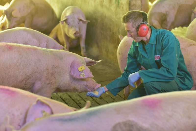 De otro lado, el país cuenta con políticas que facilitan el acceso a crédito para financiar tecnología productiva en cadenas como la bovina, avícola y porcina.