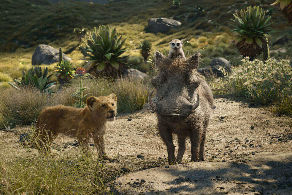 "El Rey León" viaja a la sabana africana donde ha nacido el futuro rey. Simba idolatra a su padre, el rey Mufasa, y se toma muy en serio su propio destino. / Cortesía