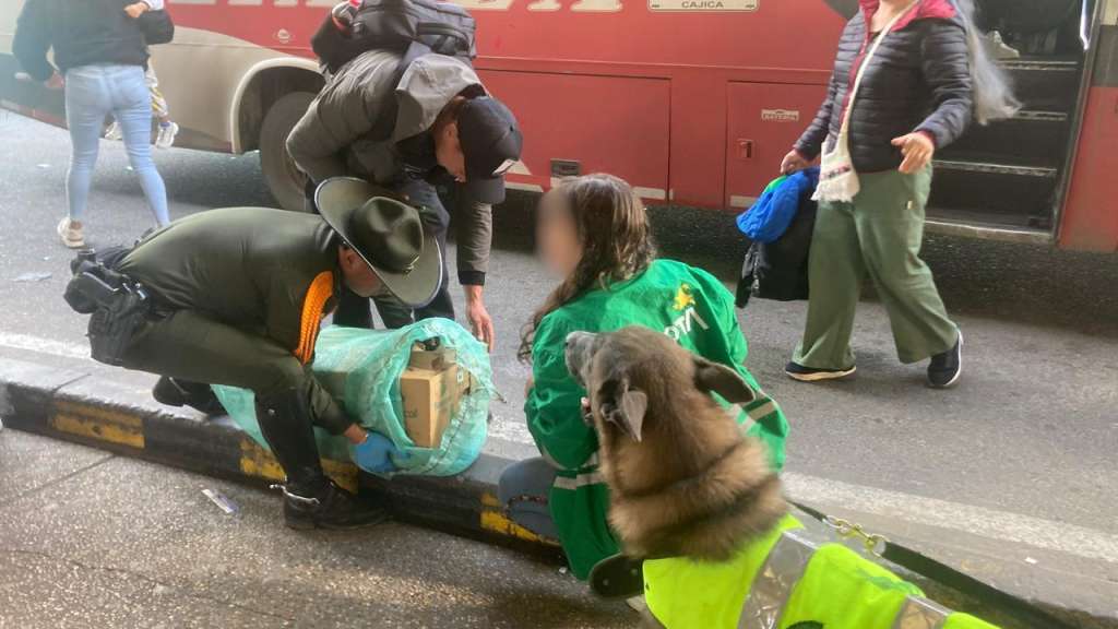 Fueron recuperados siete animales.