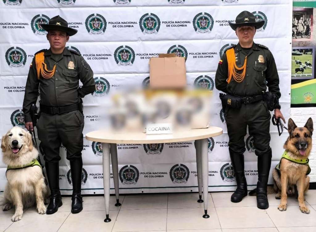 Los caninos Antinarcóticos Rocco y Luky, especializados en la detección de sustancias narcóticas que detectaron el cargamento.