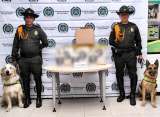 Perros antinarcóticos facilitaron incautación de 10 kilos de cocaína en El Dorado