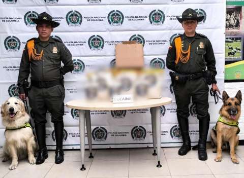 Perros antinarcóticos facilitaron incautación de 10 kilos de cocaína en El Dorado