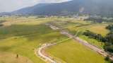 ¿Cómo ordenar la Sabana de Bogotá? Lineamientos clave para su futuro ambiental