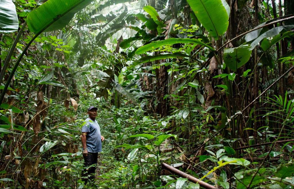 La lucha de una familia nukak por restaurar la Amazonia