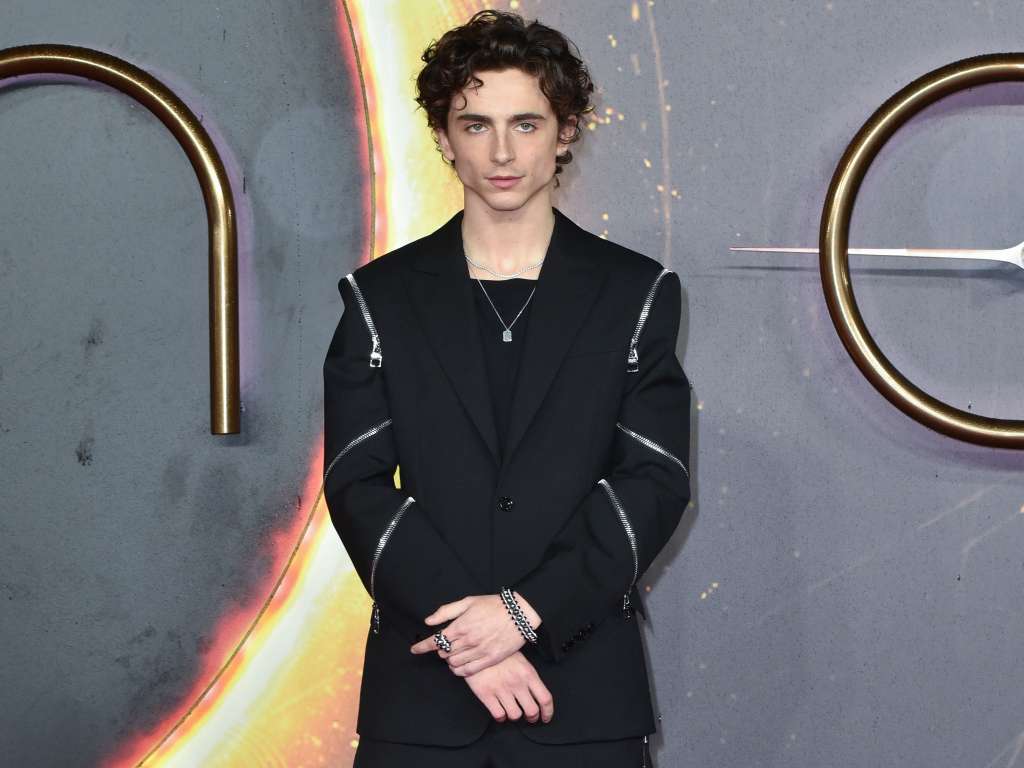 Timothée Chalamet es un actor francoestadounidense.