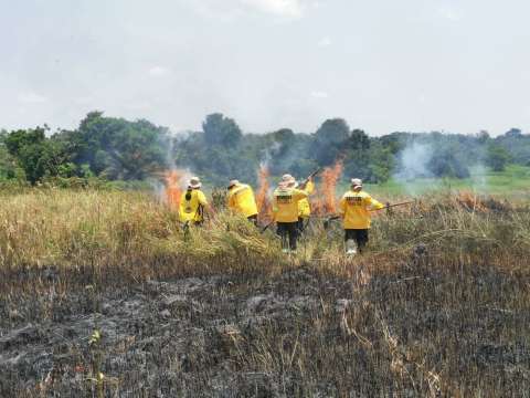 La estrategia para reducir el impacto de los incendios forestales en la Amazonía