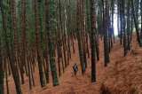 Vuelven a cerrar el sendero de la quebrada La Vieja en Bogotá