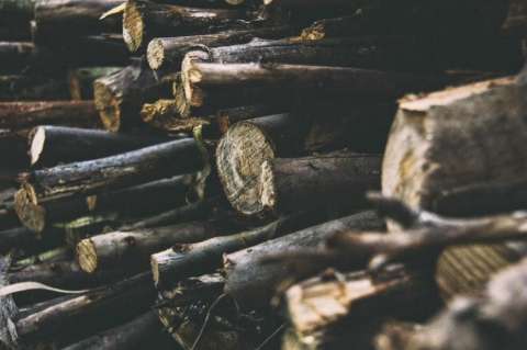 $2 mil millones irán a un piloto de lucha contra la deforestación