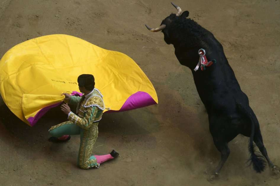 Fotografía de archivo que muestra a Luis Bolivar en la plaza de toros La Macarena. / AFP