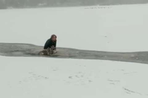 En video: mujer arriesga su vida por rescatar a perrita que cayó a un lago congelado