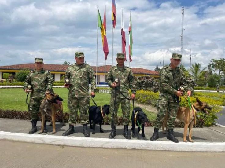 Despiden con honores militares a cuatro perros antiexplosivos del Ejército