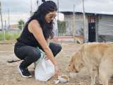¿Se anima a disfrazarse y ayudar? Buscan voluntarios para alimentar animales en Halloween