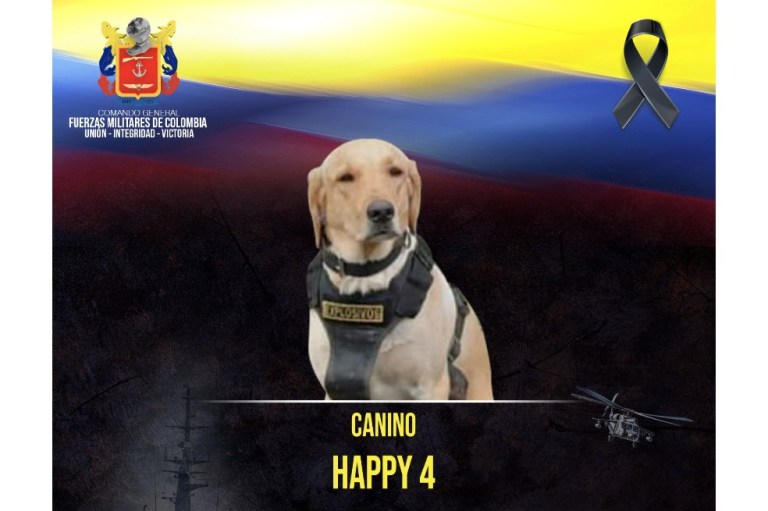 Él era Happy 4, el perro antiexplosivos que murió tras atentado en Puerto Rico, Meta